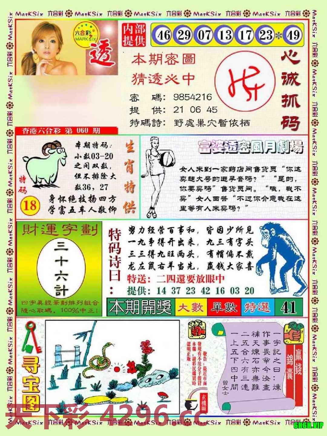 富婆透密数